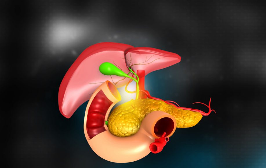 Pankreas i jetra