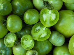 zeleni paradajz