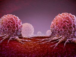 kancerogene ćelije