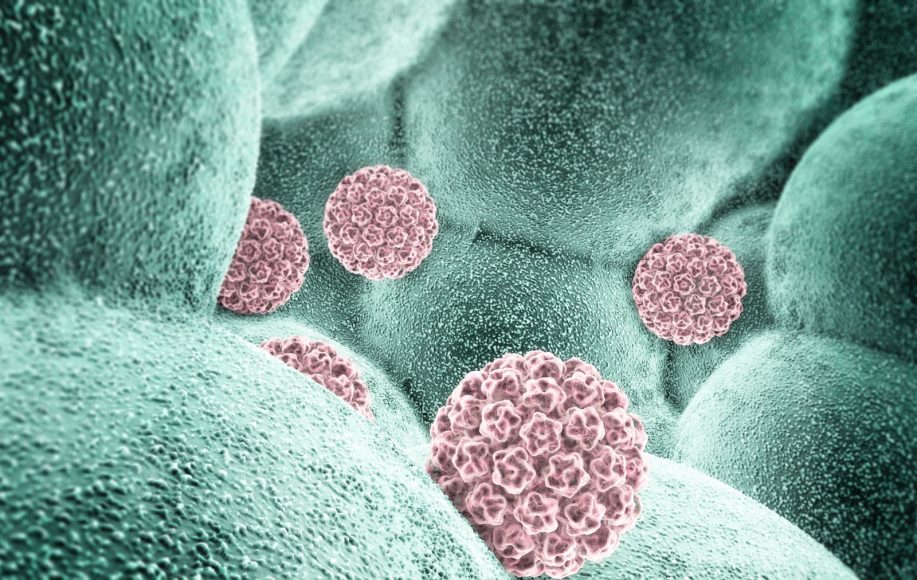 HPV virus karcinom grlića materice