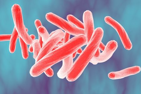 bakterije tuberkuloze