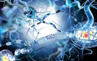 Poremećaji nervnog sistema koji nastaju naglo glavni su uzrok raznih bolesti, tvrde naučnici