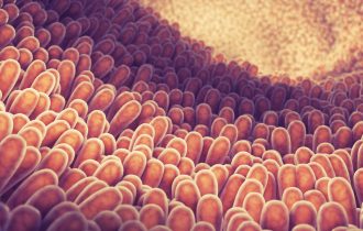 Clostridium butyricum obnavlja crevnu mikrofloru kada je oštetimo antibioticima