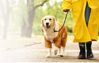 Zdravstvene prednosti šetnje po kiši, prema mišljenu stručnjaka