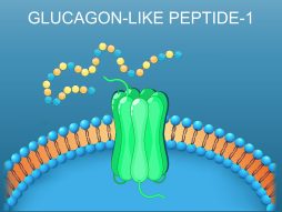 GLP-1 lekovi za dijabetes