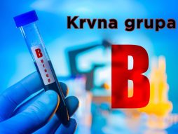 krvna grupa B